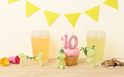 SMISKI Birthday Series T9
