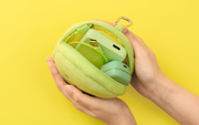 SMISKI Cushion Pouch A7