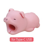 CABLE BITE for Type-C USB D5