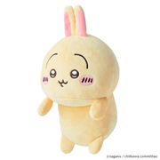 Posture Pal - CHiiKAWA B0