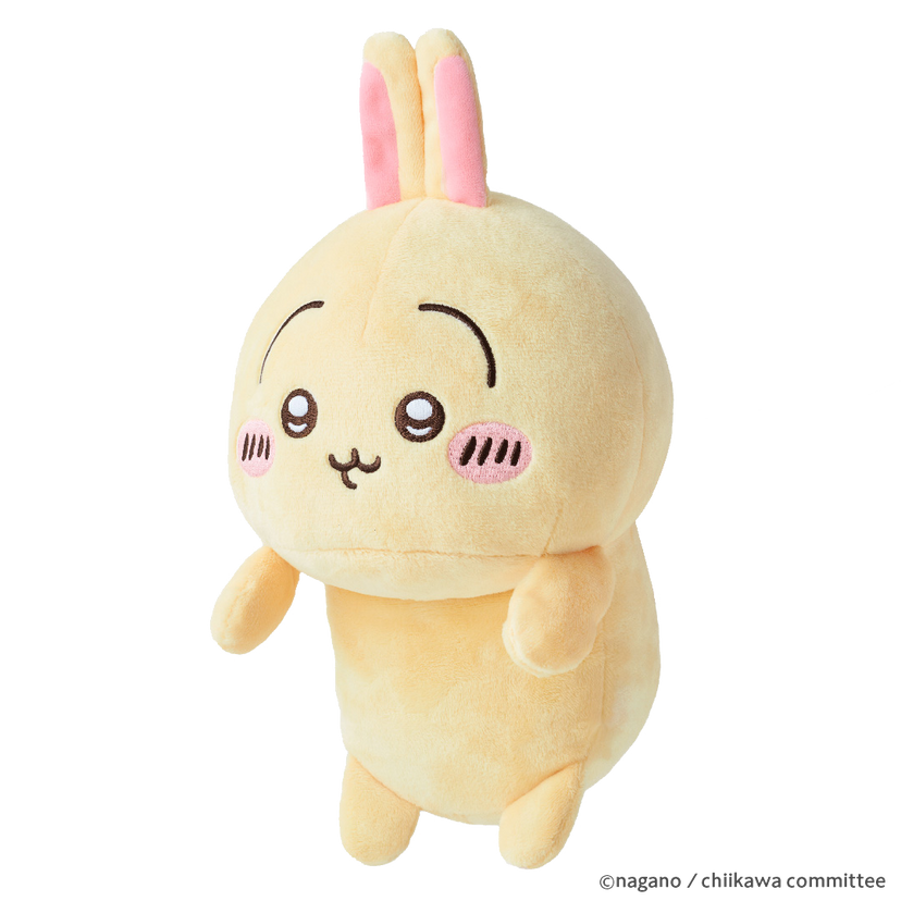Posture Pal - CHiiKAWA B0