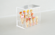 Acrylic Display Case C5