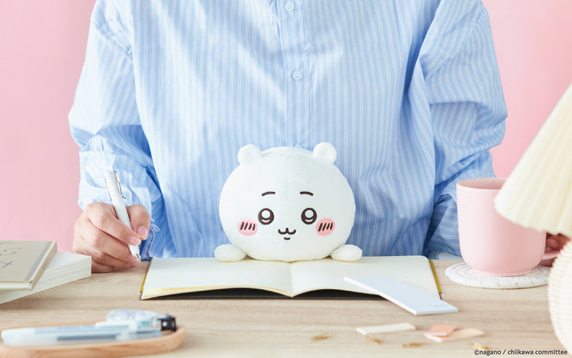 Posture Pal - CHiiKAWA B0
