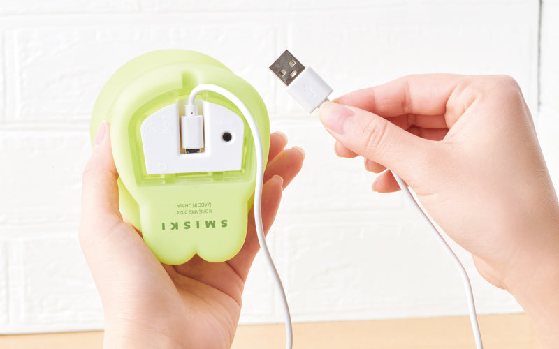 SMISKI Touch Light W7