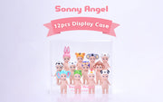 Acrylic Display Case C5