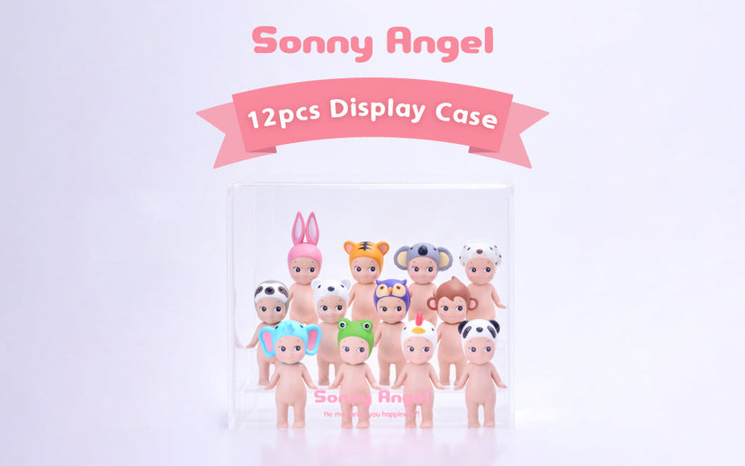 Acrylic Display Case C5