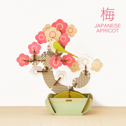 Play Plants Bonsai Puzzles E5