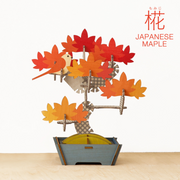 Play Plants Bonsai Puzzles E5
