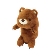Posture Pal U8